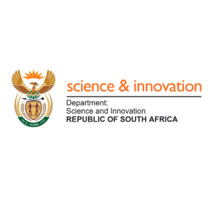SAYEC_Logo_DSI